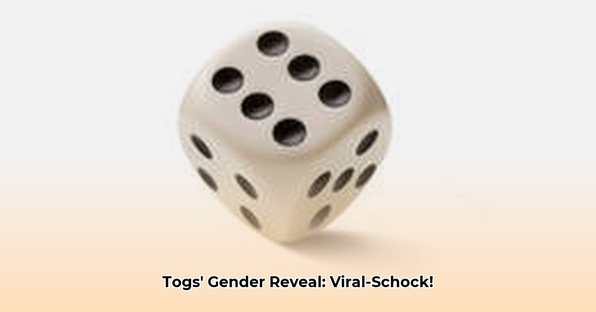 die-togs-instagram-gender-reveal